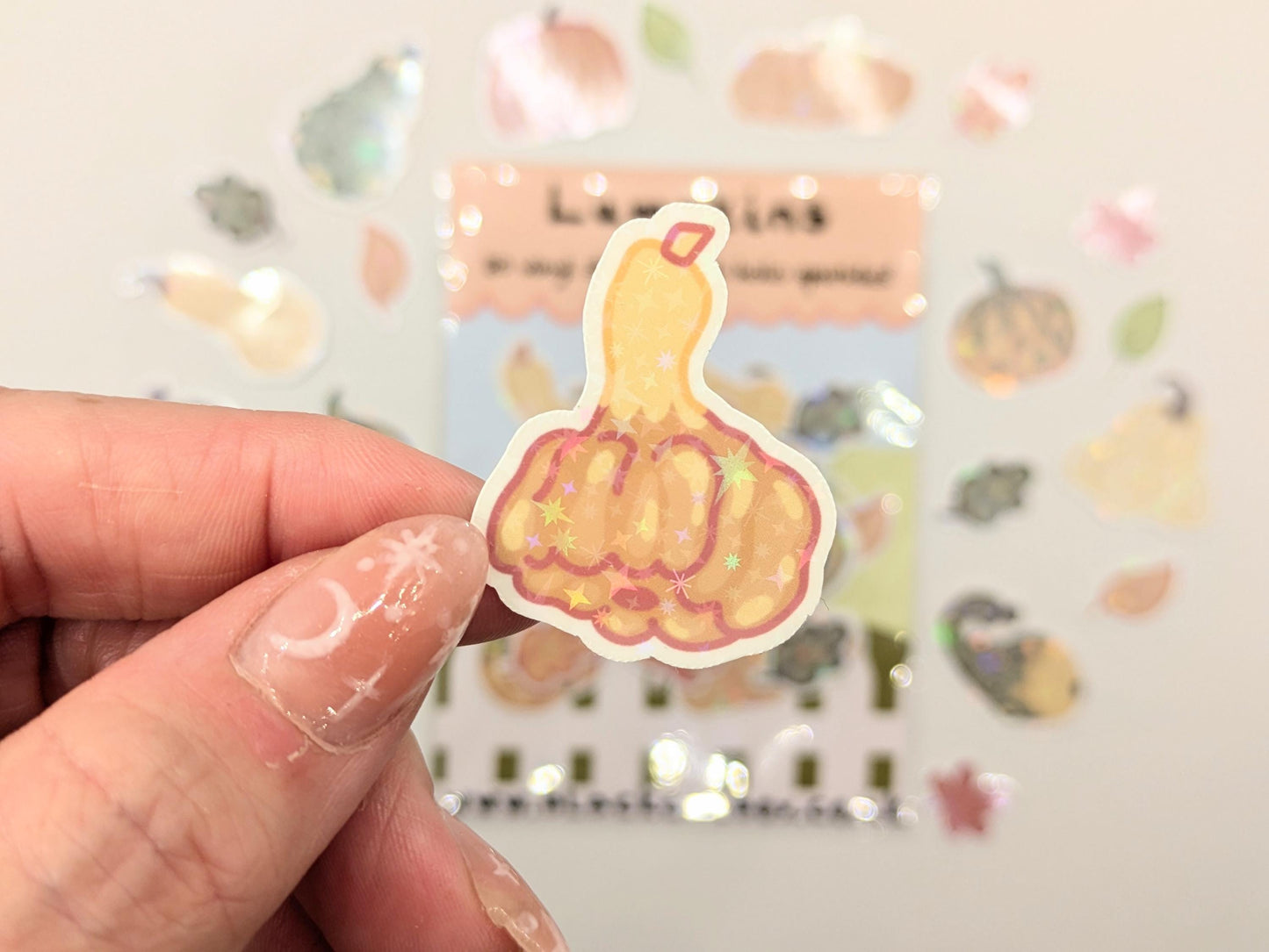 Lumpkins Vinyl Sticker pack- Pumpkin stickers, Autumn stickers, Fall stickers, Halloween stickers, Harvest Stickers