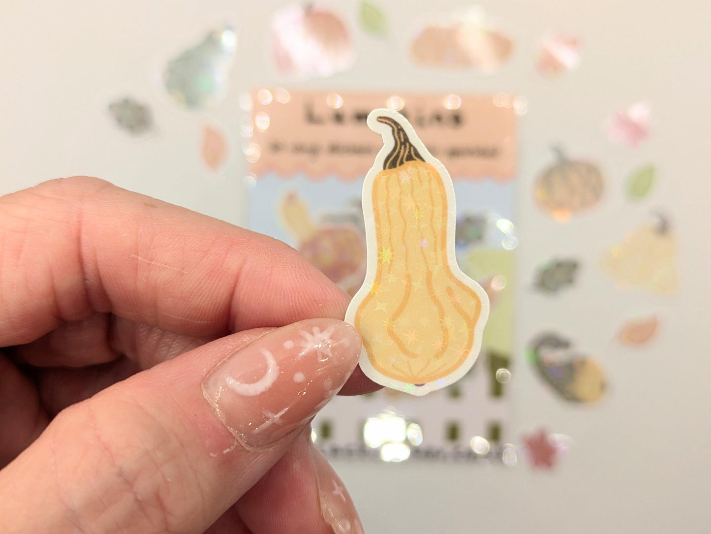 Lumpkins Vinyl Sticker pack- Pumpkin stickers, Autumn stickers, Fall stickers, Halloween stickers, Harvest Stickers