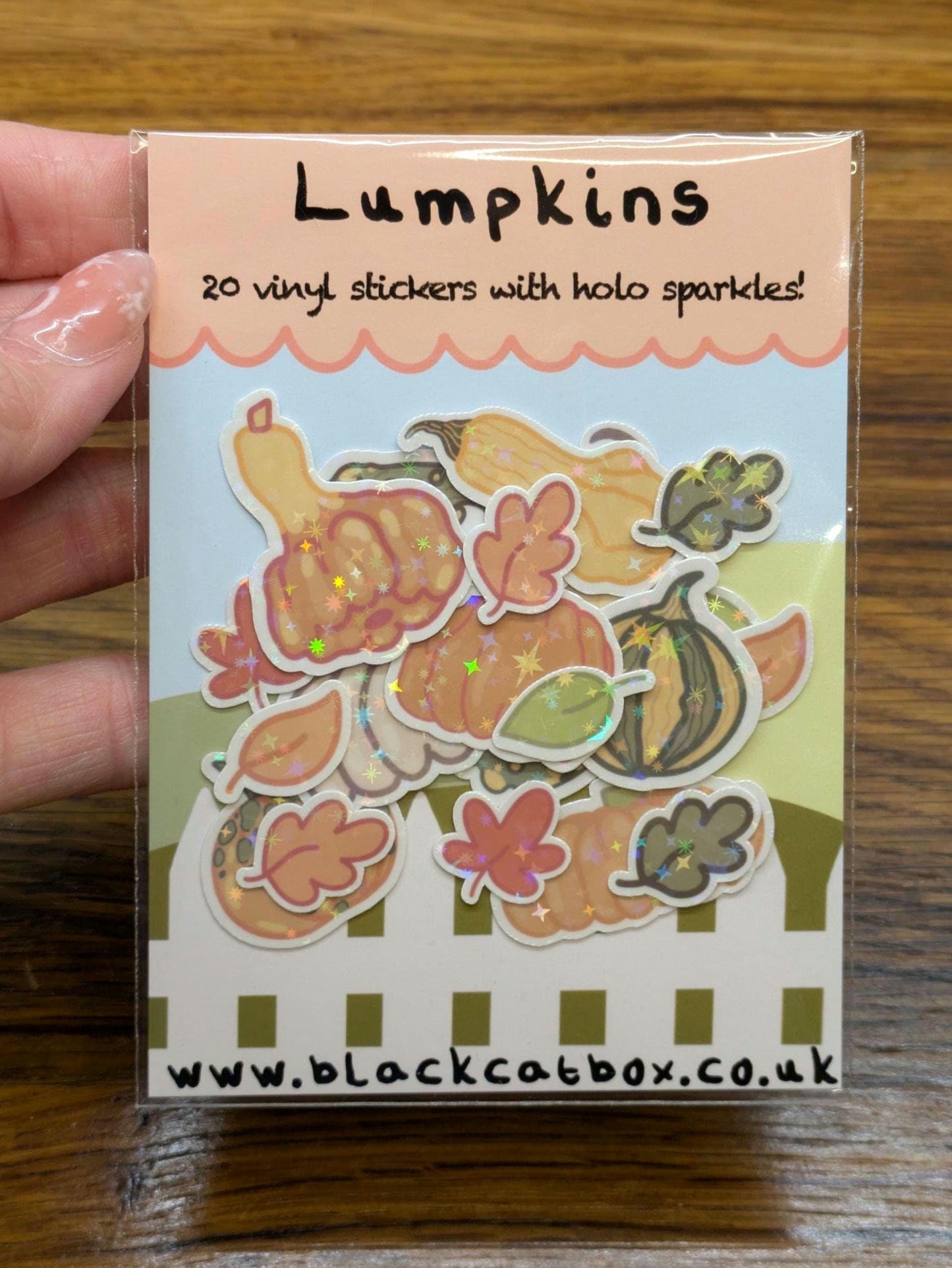 Lumpkins Vinyl Sticker pack- Pumpkin stickers, Autumn stickers, Fall stickers, Halloween stickers, Harvest Stickers