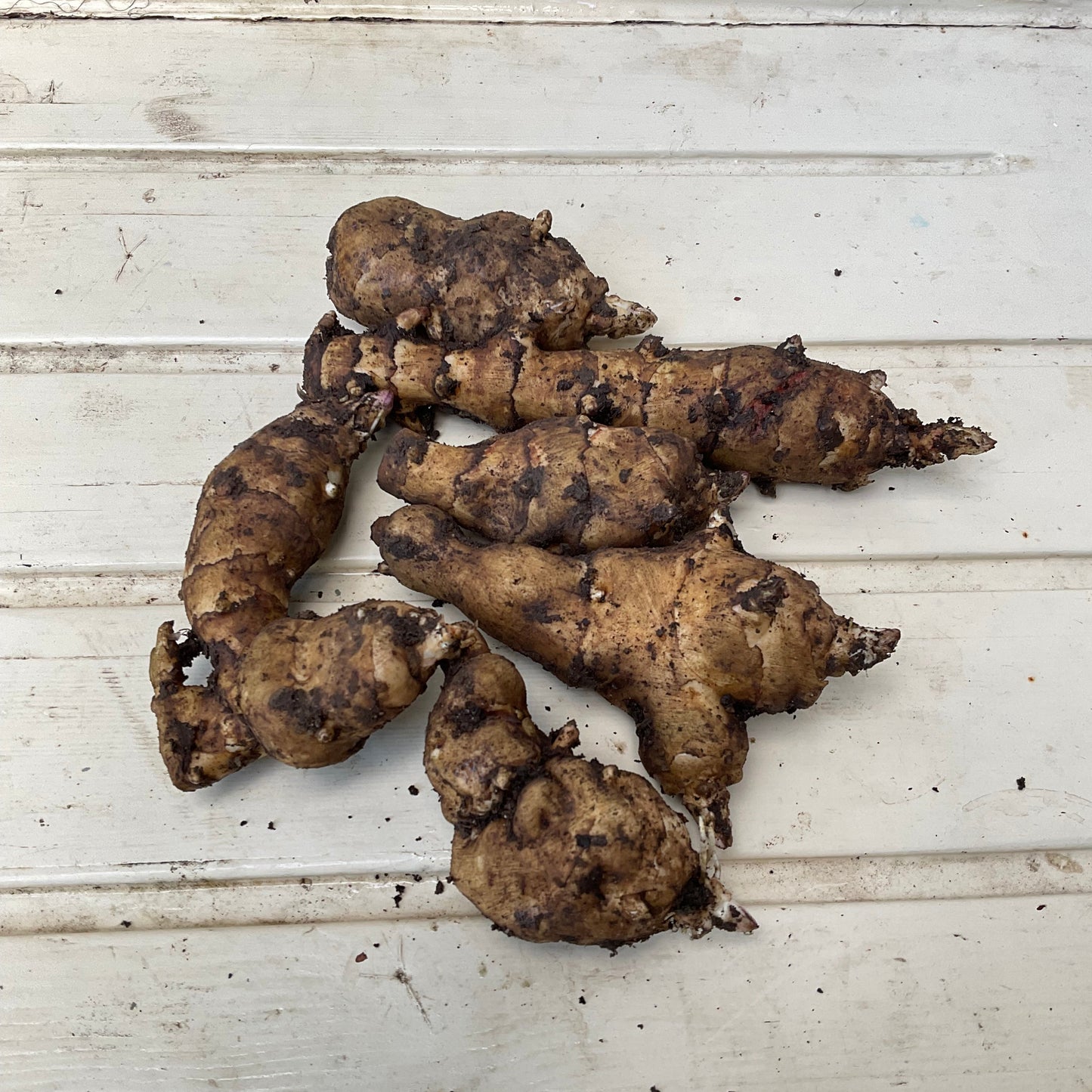 Jerusalem Artichokes