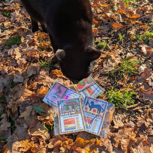 Henfield Top Trumps!